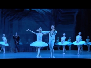 ballet swan lake. (bolshoi theater 2015, 01, 25)